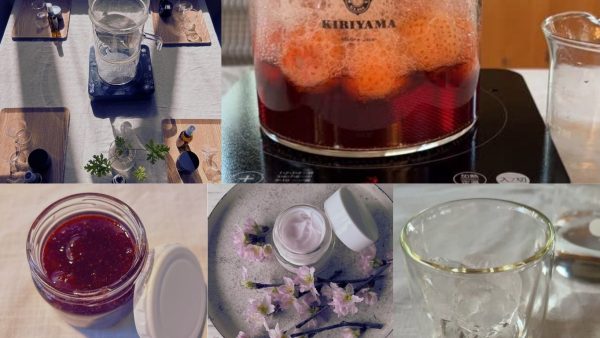 2026年4月春の植物教室 “いちご蒸留会・桜色のふわふわクリーム作り”